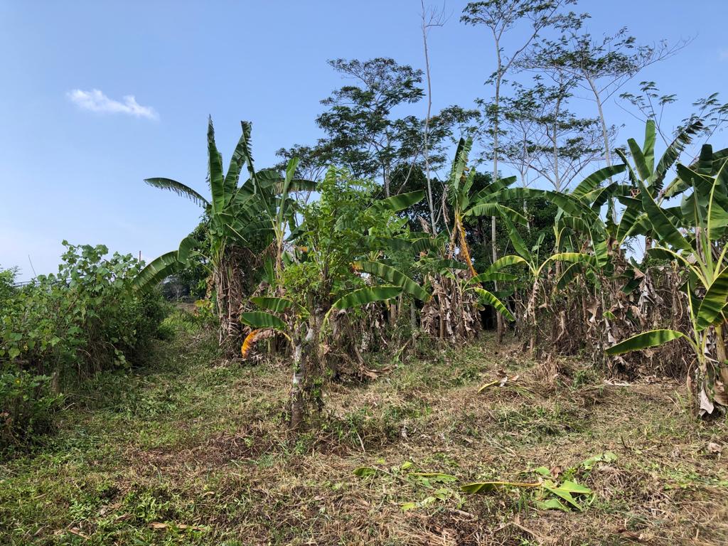 225bf98b-b950-4dec-a9ac-e1a53941e656