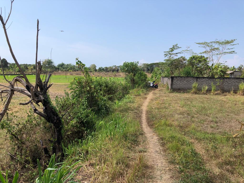 604a579c-06bd-446b-817f-e694d4776266