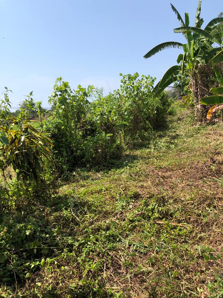 db695e0f-0295-4744-9c33-b812243e9ed2